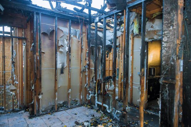 Professional Odor Removal technician working in Osceola, WI